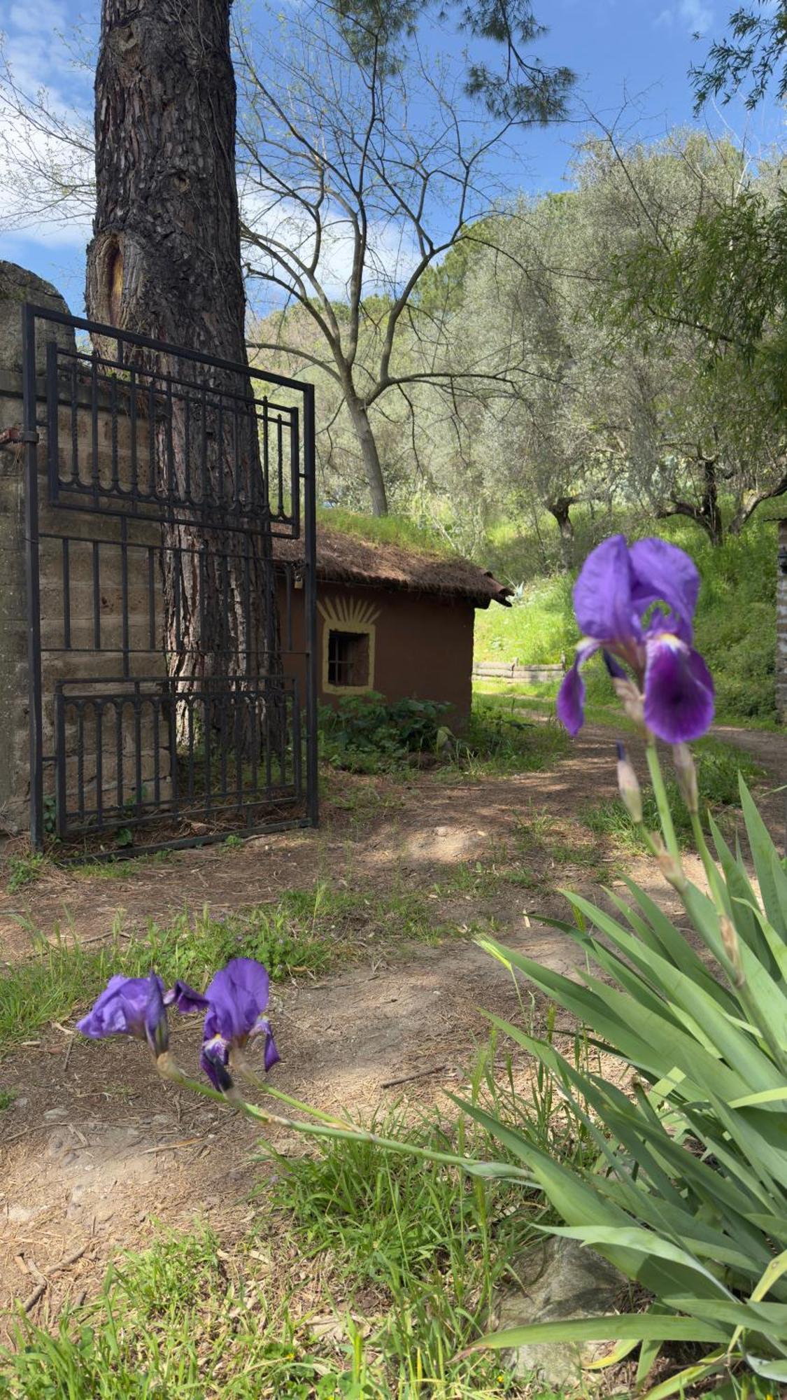 La Casa Del Grillo Villa Витербо Екстериор снимка